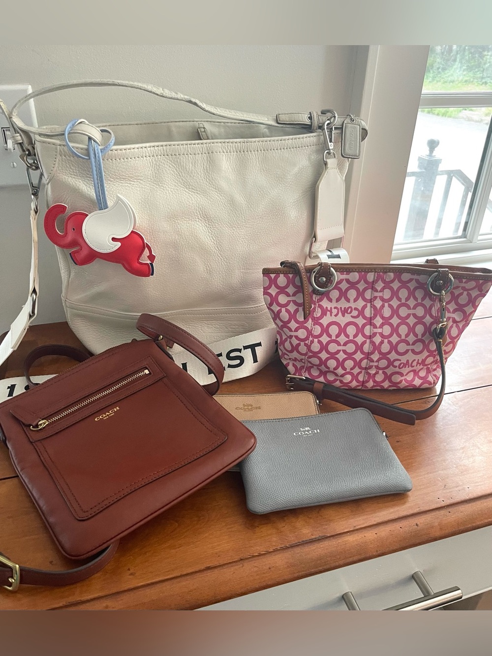 Coach project bag bundle